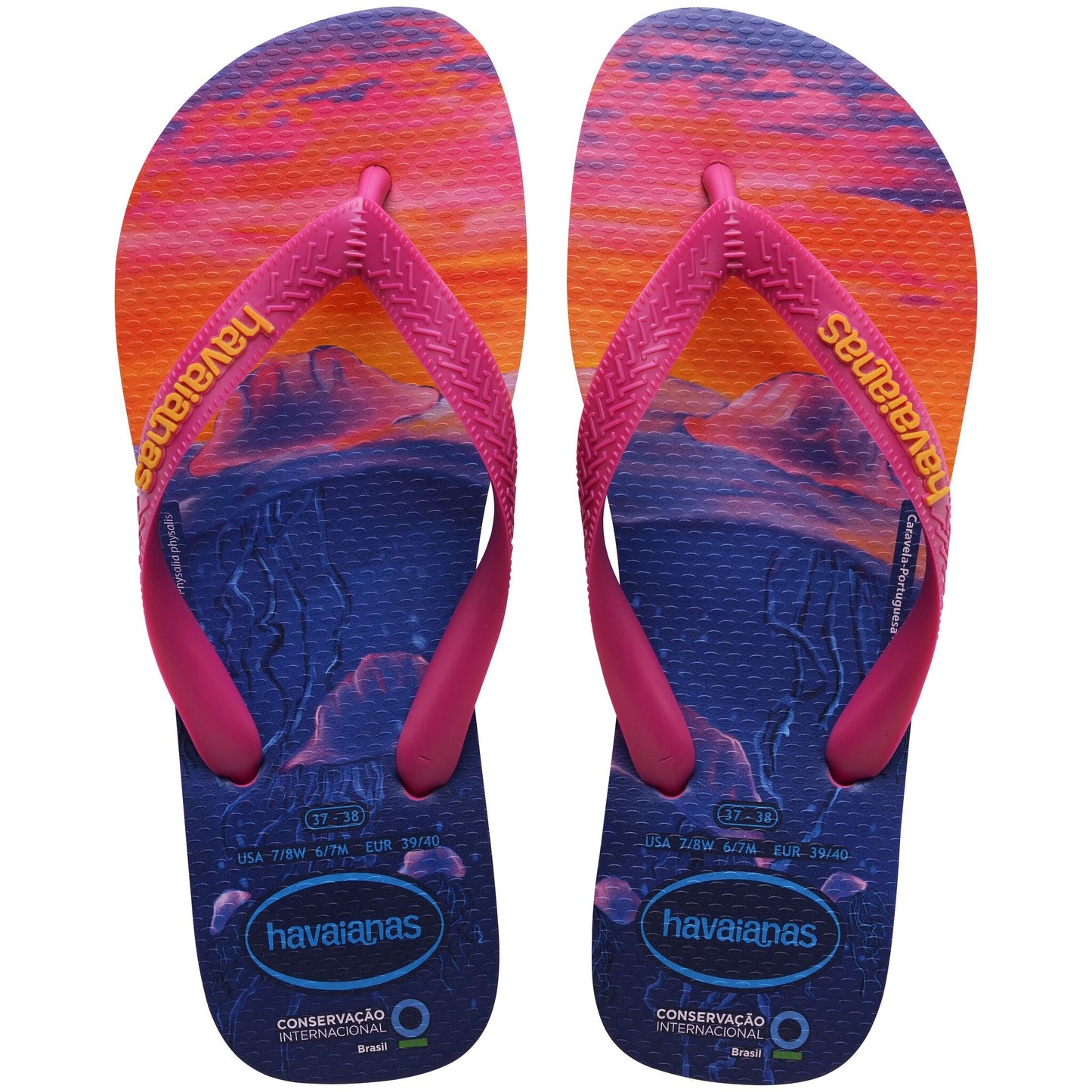 Havaianas Conservation International